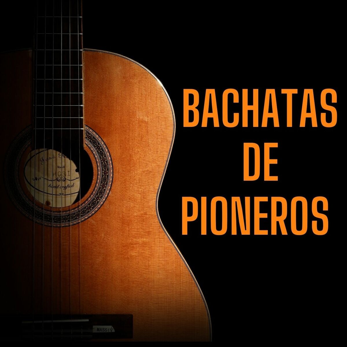 Album cover of Bachatas de Pioneros