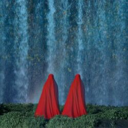 Cover of Wildones
