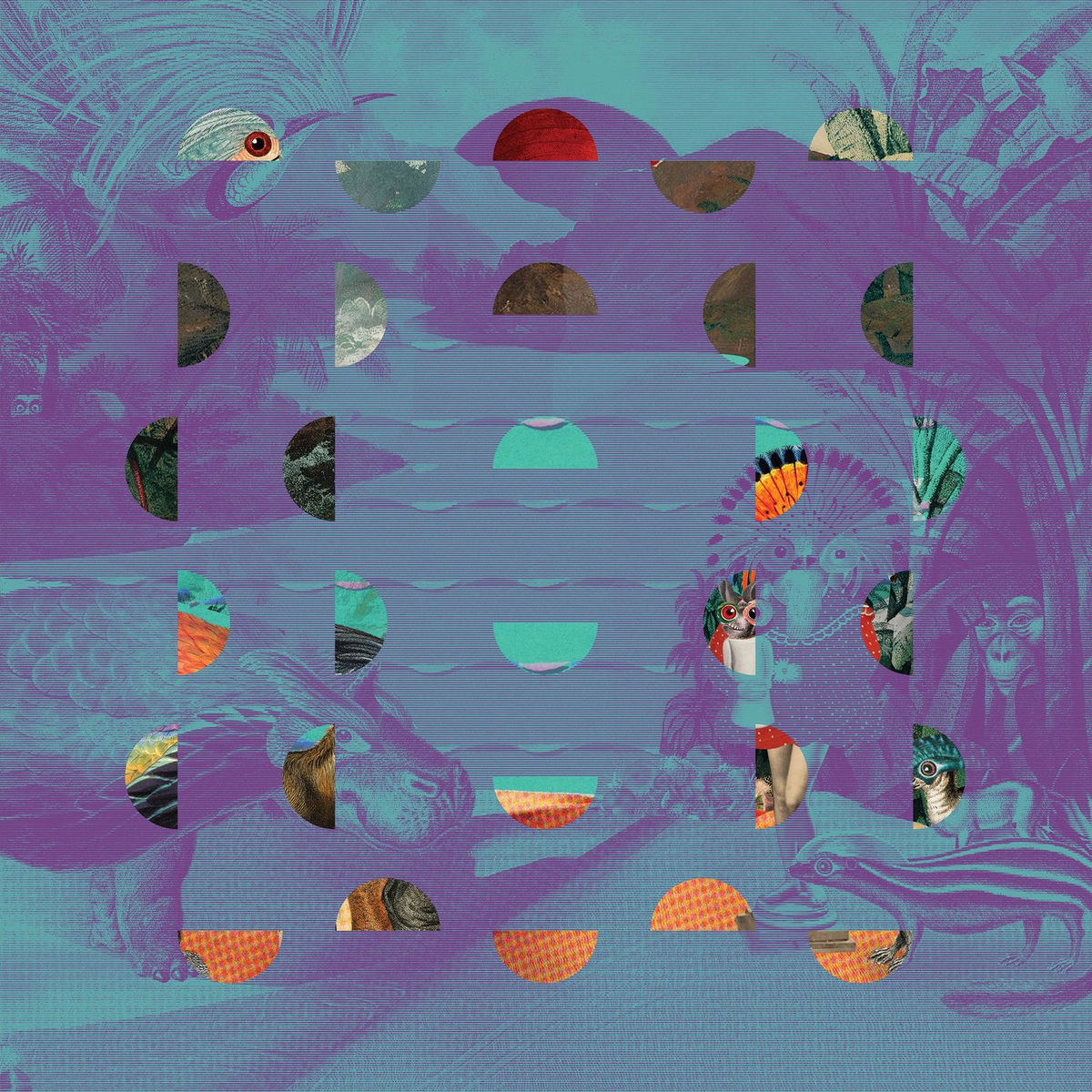 Album cover of Jazz Dispensary: Super Skunk