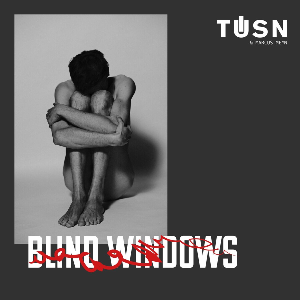 Album cover of Blind Windows