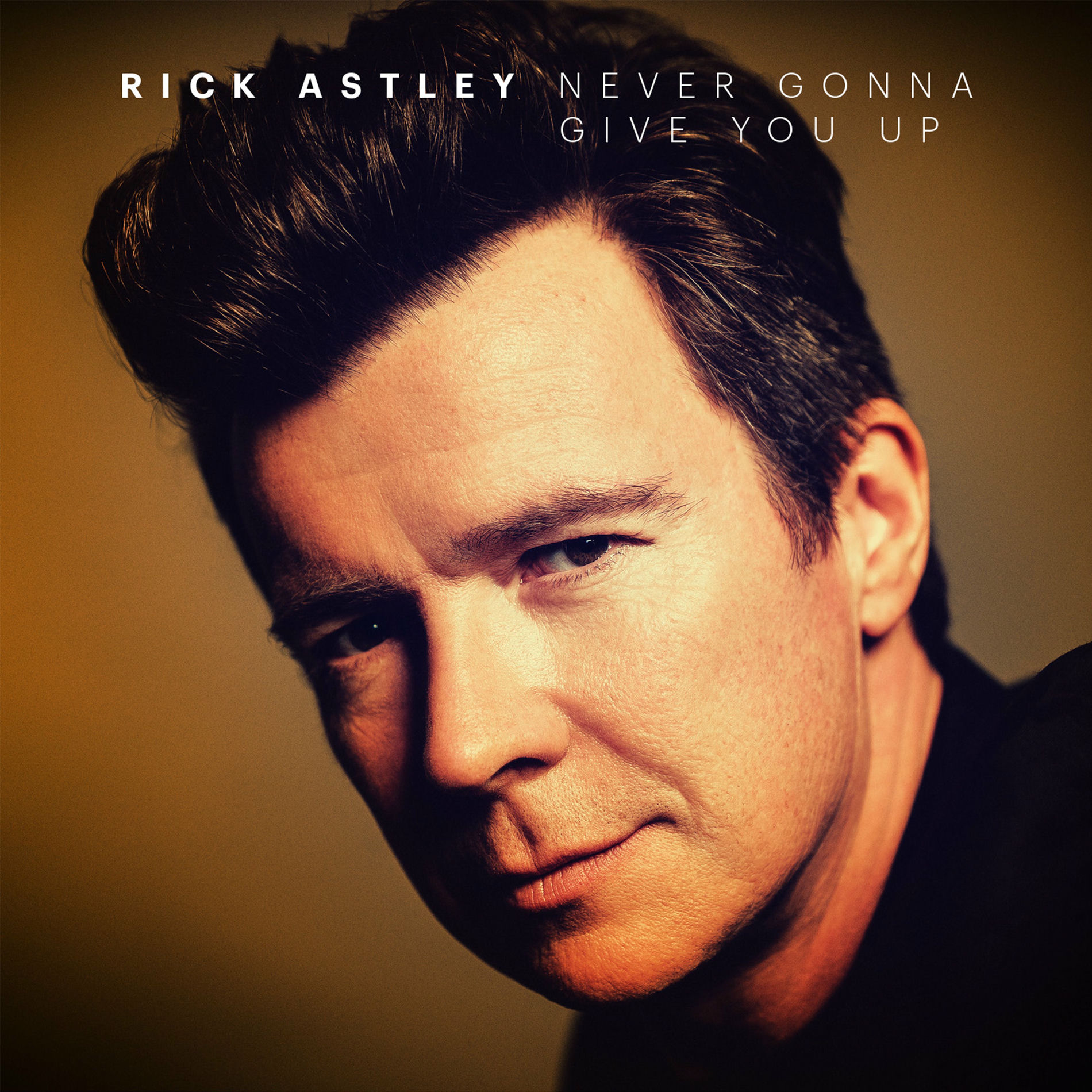 Album cover of Never Gonna Give You Up