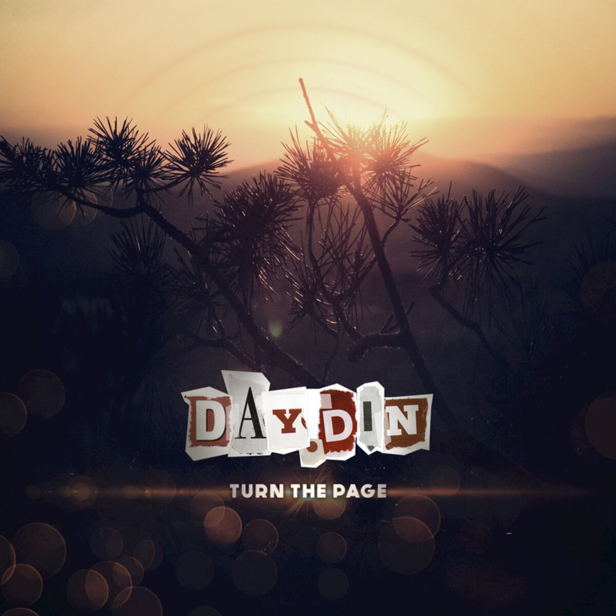 Album cover of Turn the Page