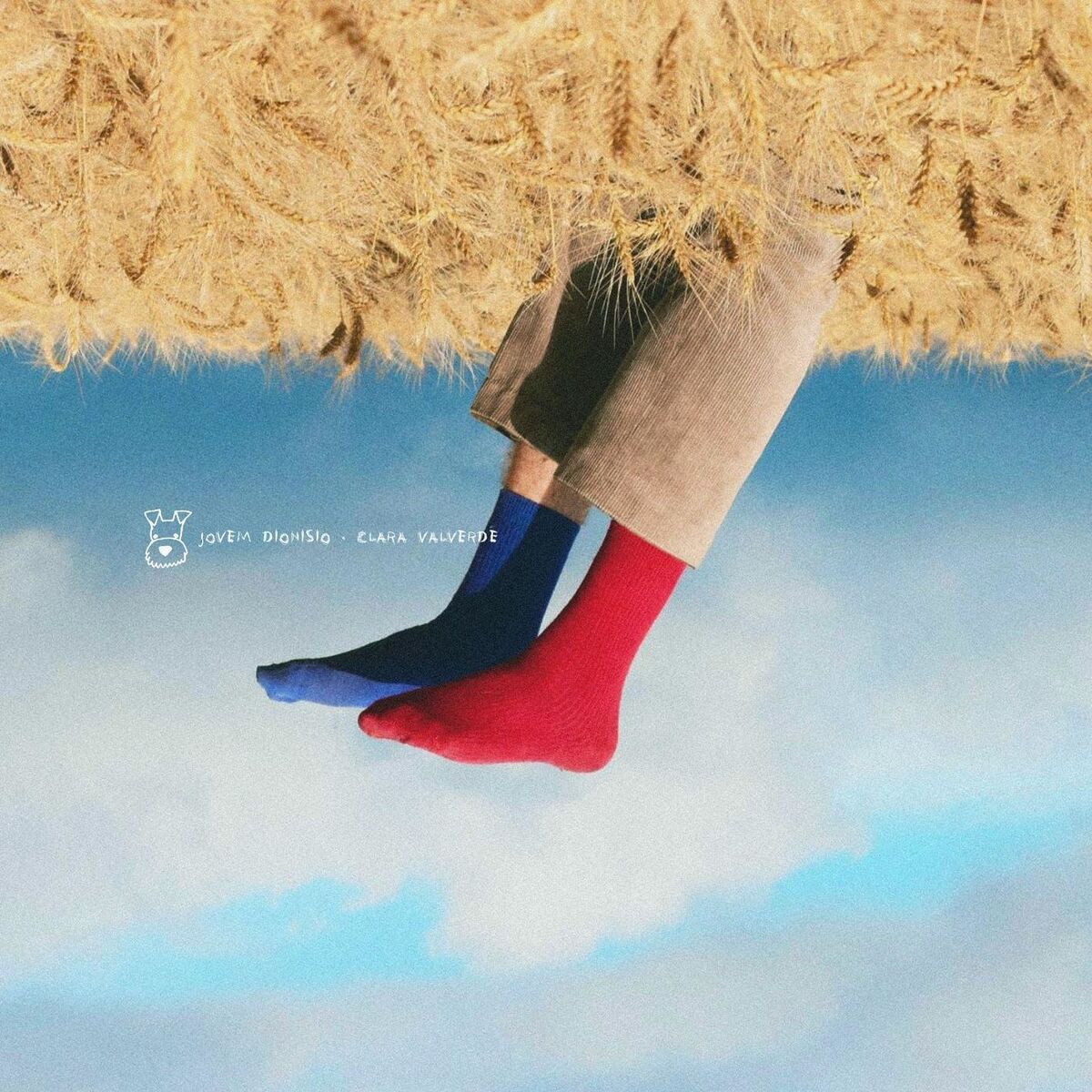 Album cover of Amor de Cão