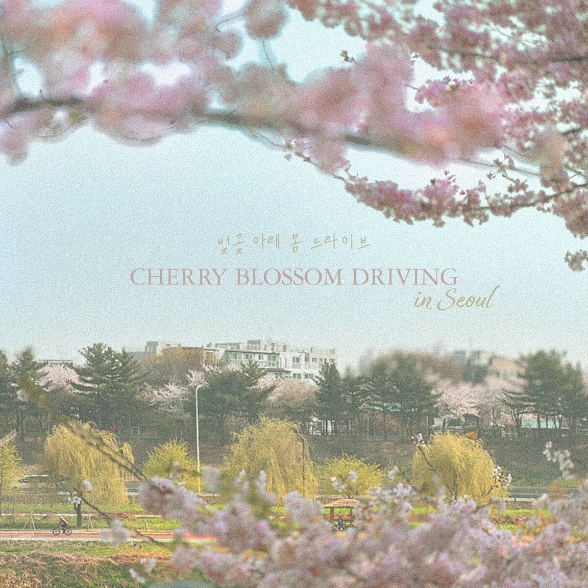 Album cover of 벚꽃 아래 봄 드라이브 CHERRY BLOSSOM DRIVING IN SEOUL