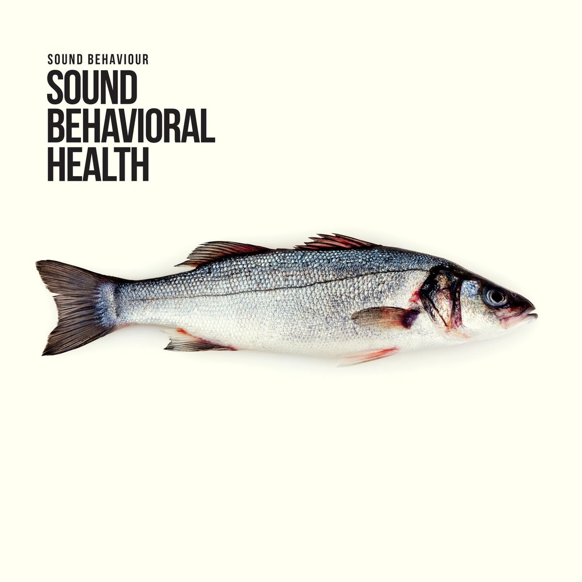 Album cover of Sound Behavioral Health