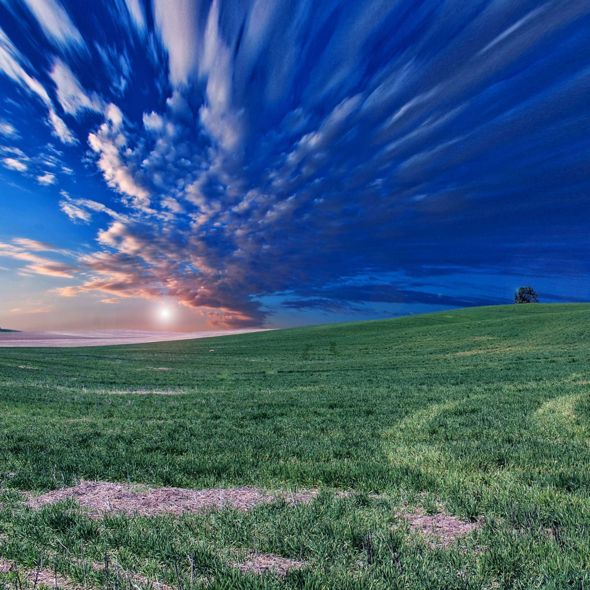 Album cover of Soothing Harmony