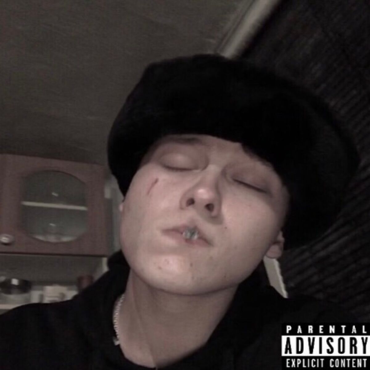 Album cover of HIV (Havirov Industrial Vapor)