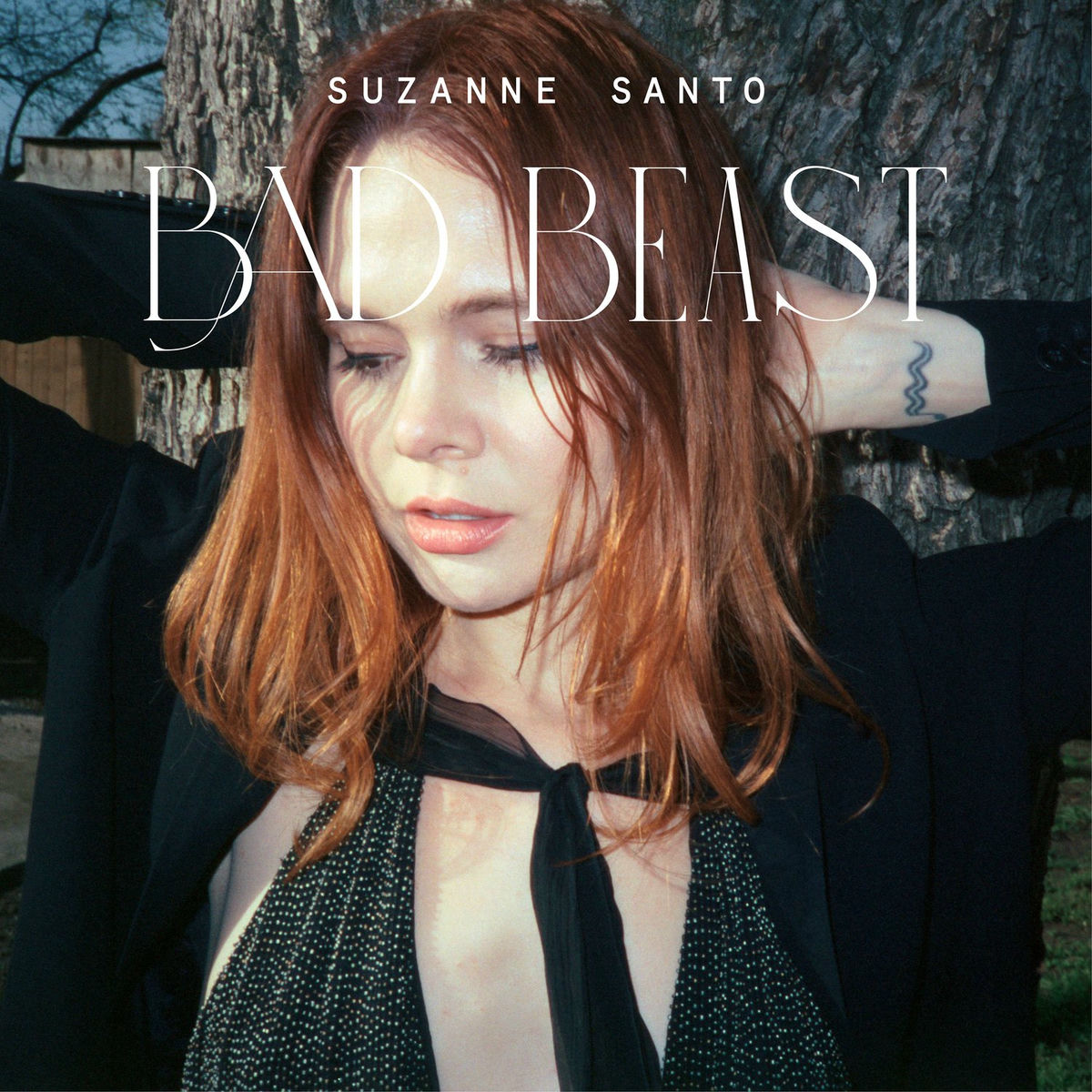 Album cover of Bad Beast