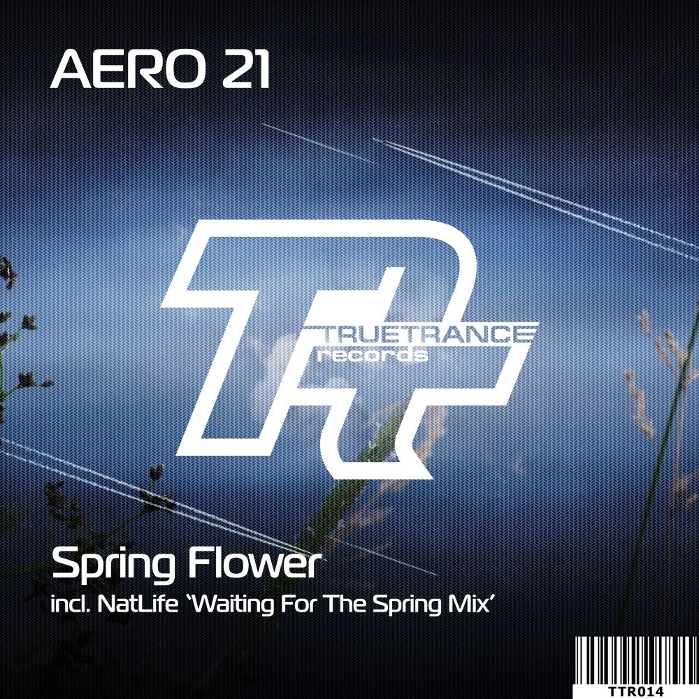 Picture of Spring Flower