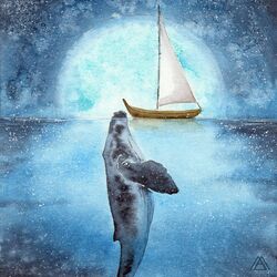 Cover of OceanooM Duet∘☽