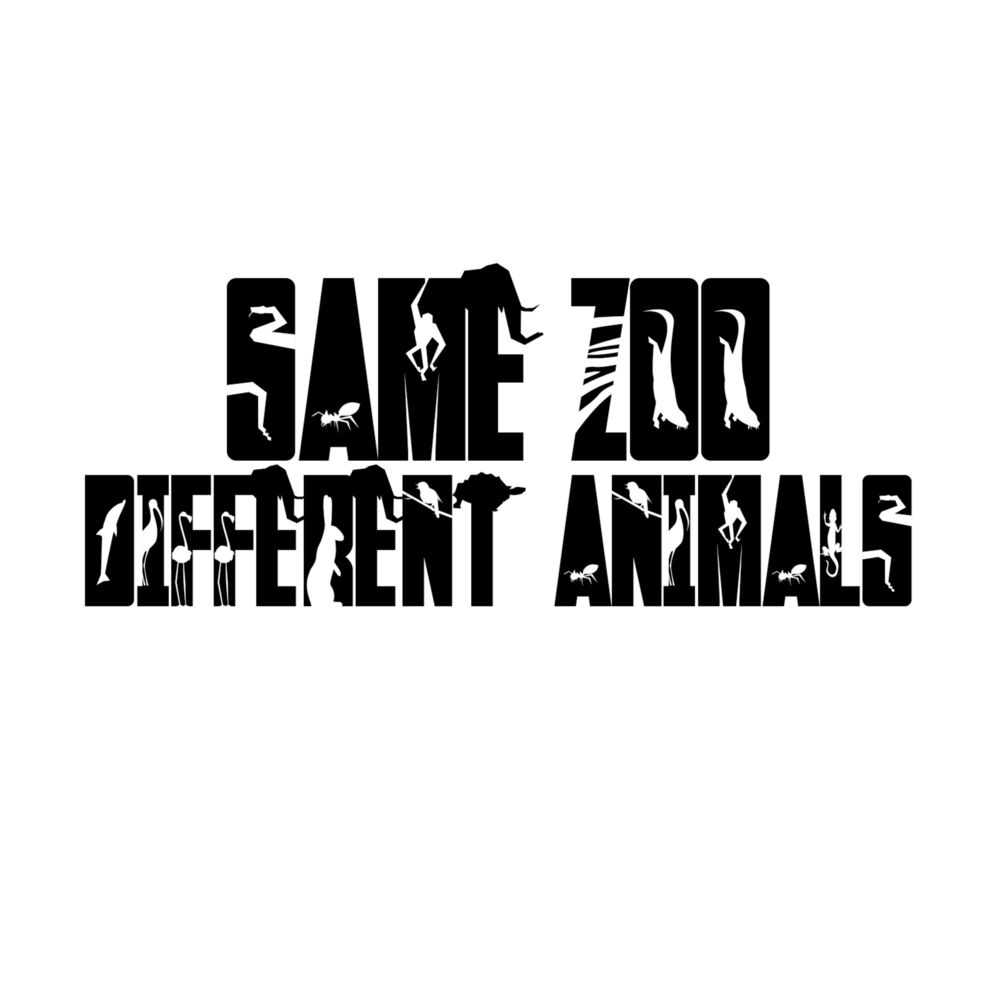 Picture of Same Zoo Different Animals