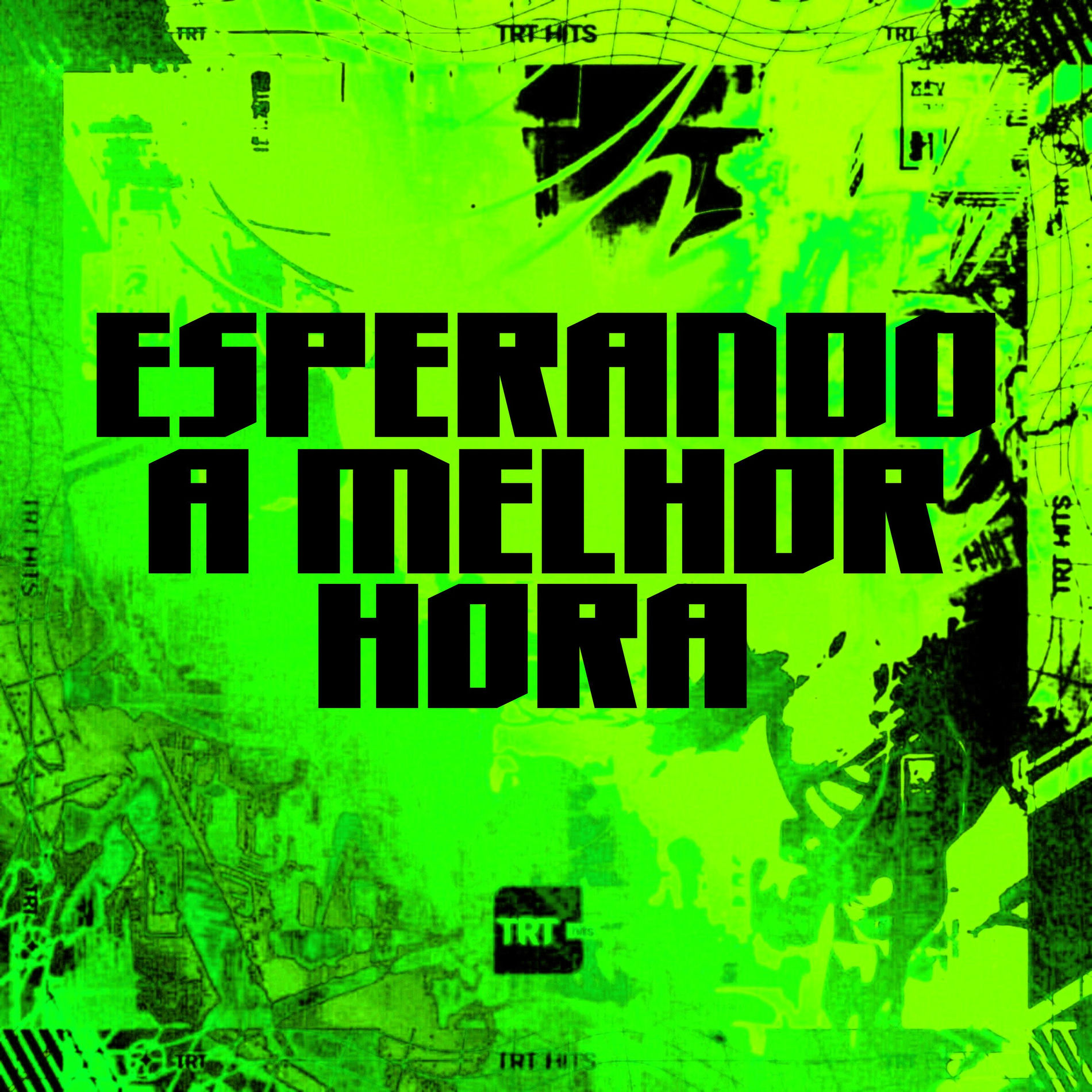 Album cover of ESPERANDO A MELHOR HORA