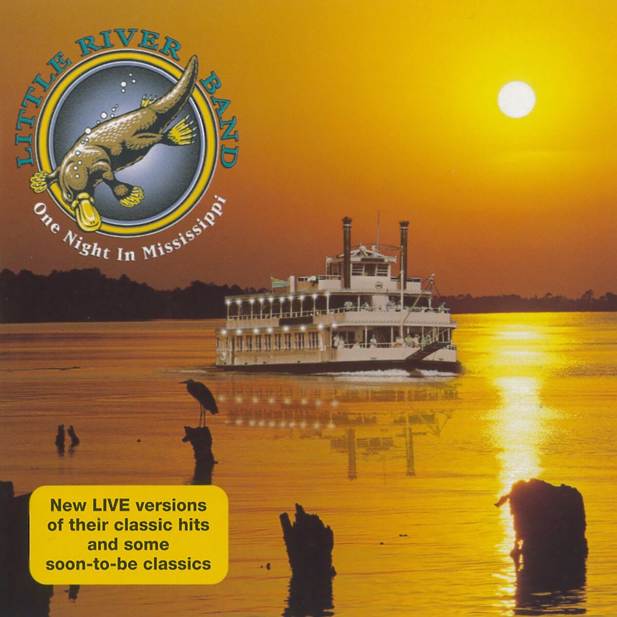 Album cover of One Night in Mississippi (Live)