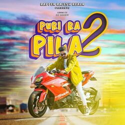 Cover of Puri Ra Pila 2