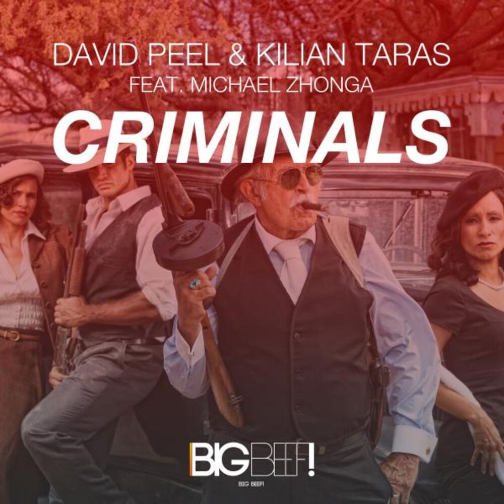 Picture of Criminals