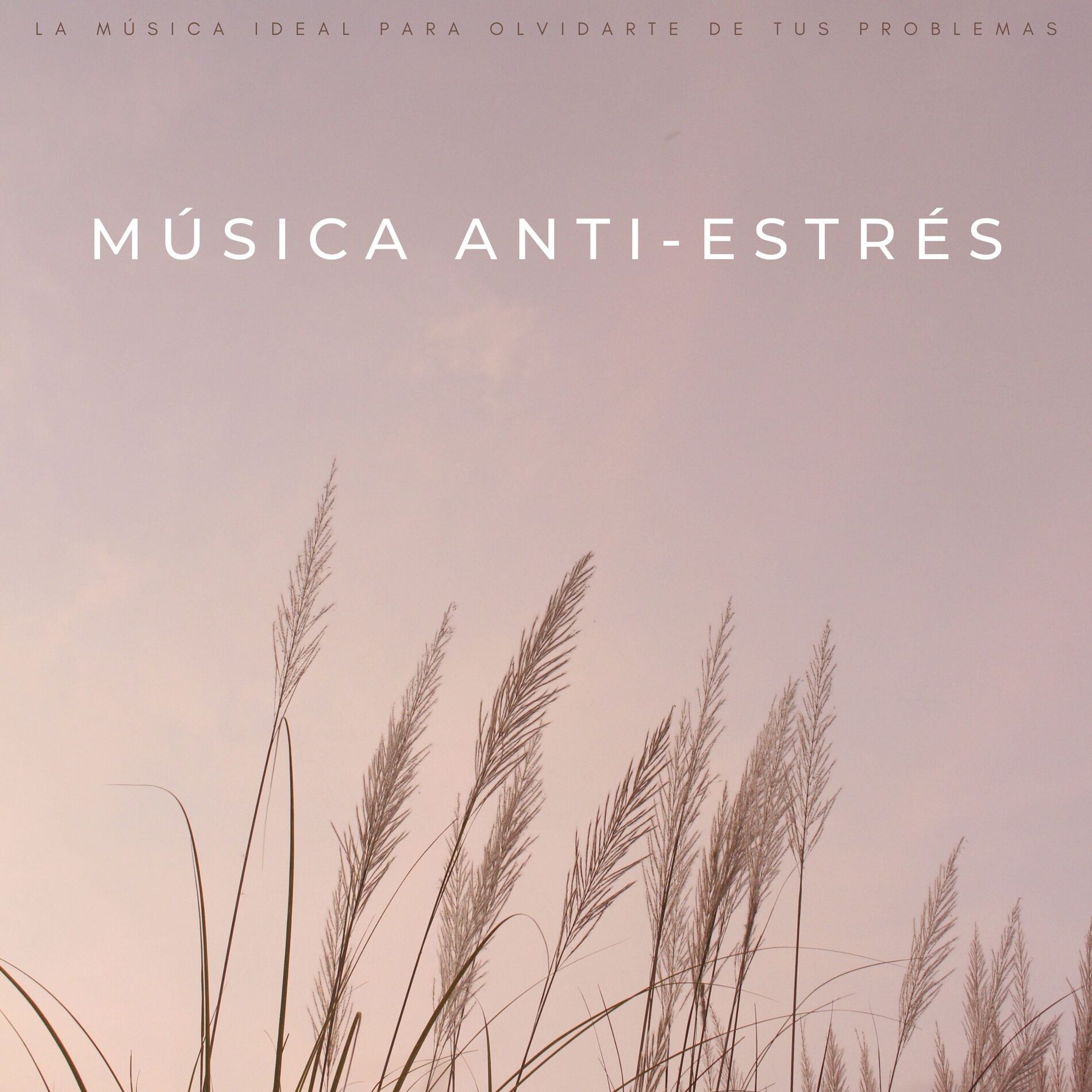 Album cover of Música Anti-Estrés: La Música Ideal Para Olvidarte De Tus Problemas