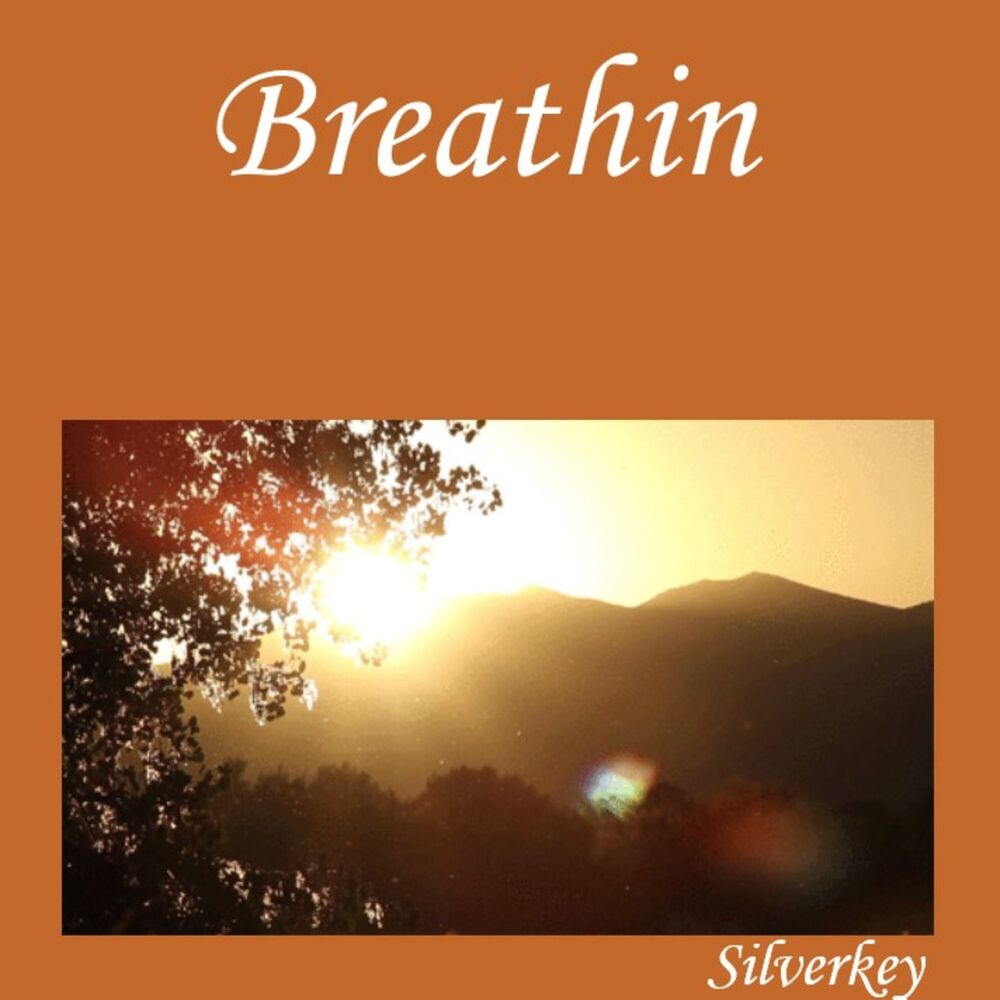 Picture of Breathin
