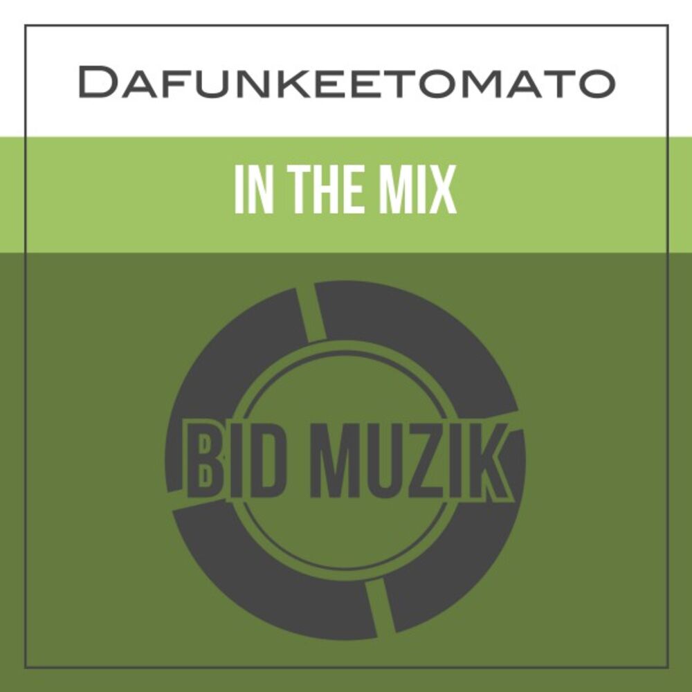 Picture of In the Mix (Original Mix)