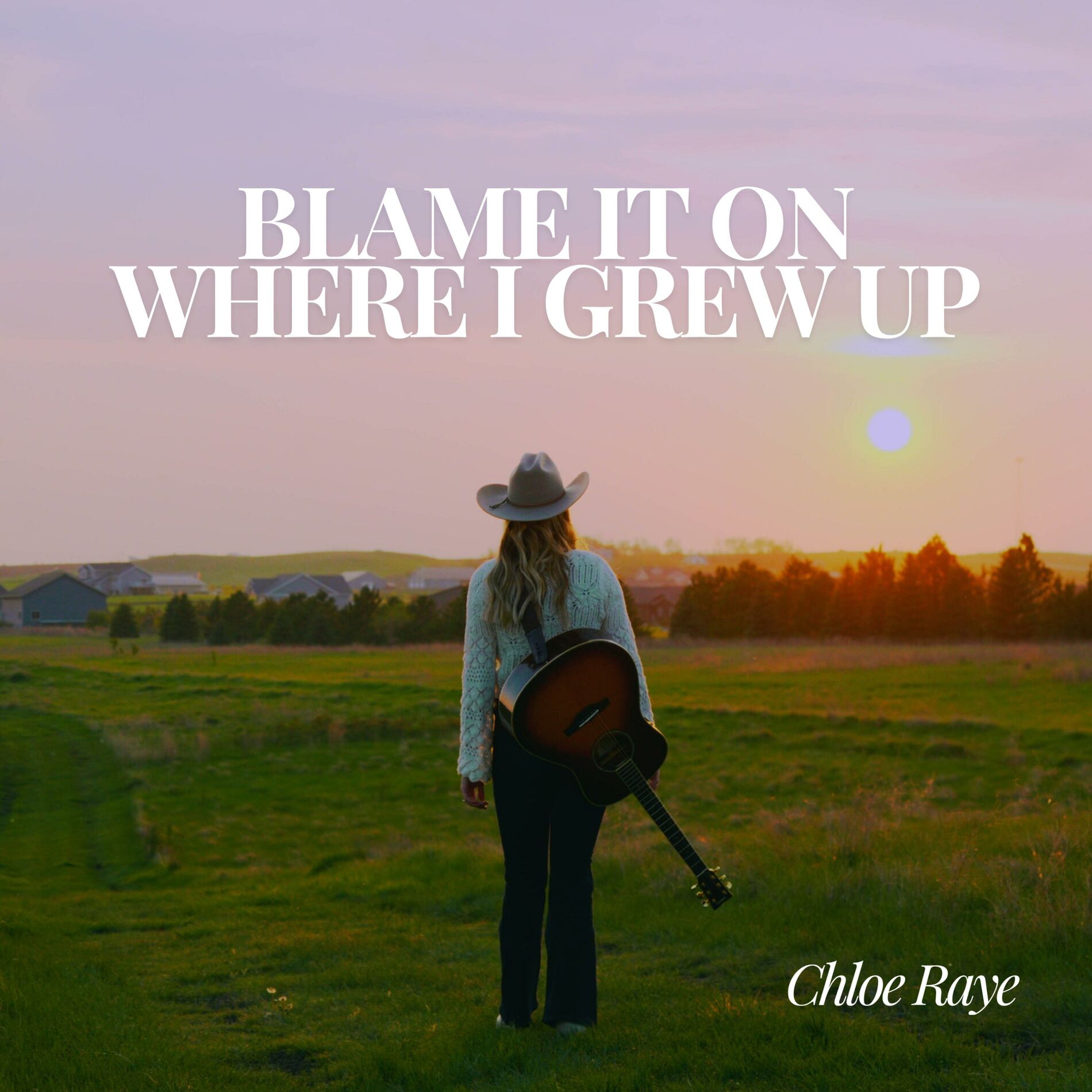 Album cover of Blame It On Where I Grew Up