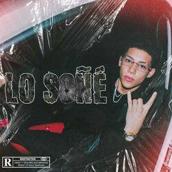 Cover of Lo Soñe