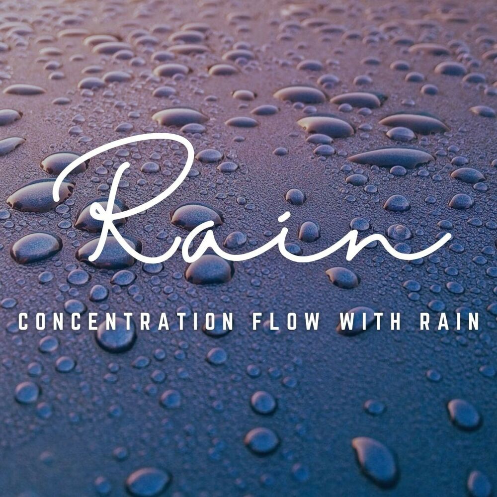 Picture of Mindful Rainfall: Study Sessions with Nature's Rhythms
