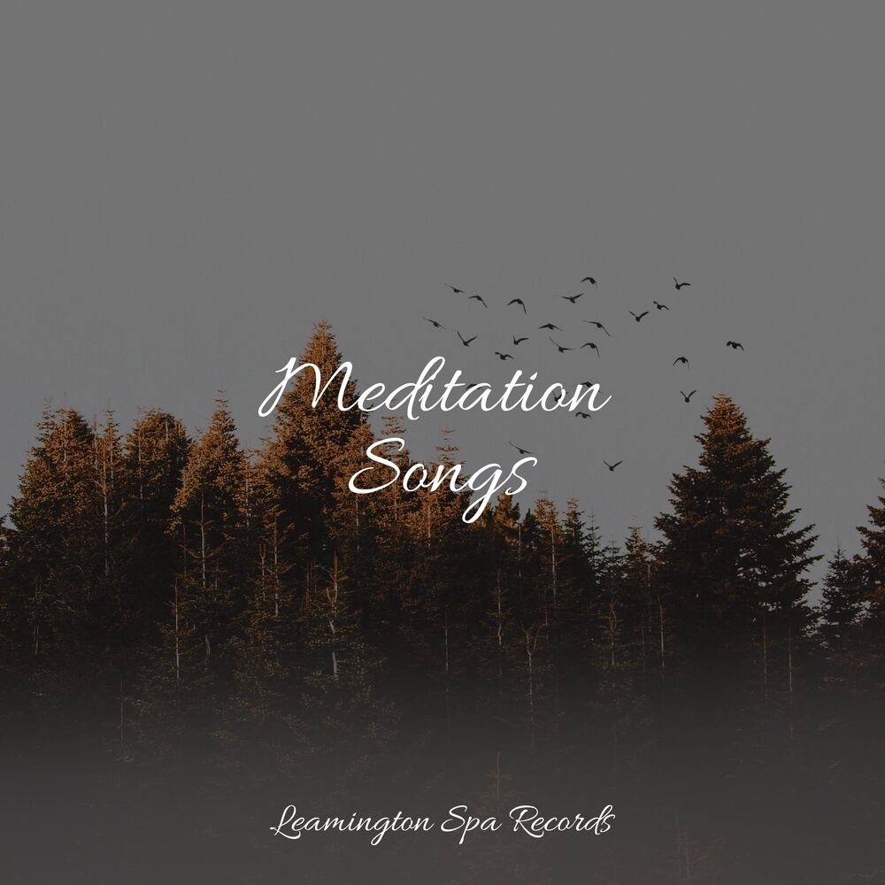 Picture of Meditation Songs