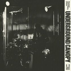 Cover of UC Visions