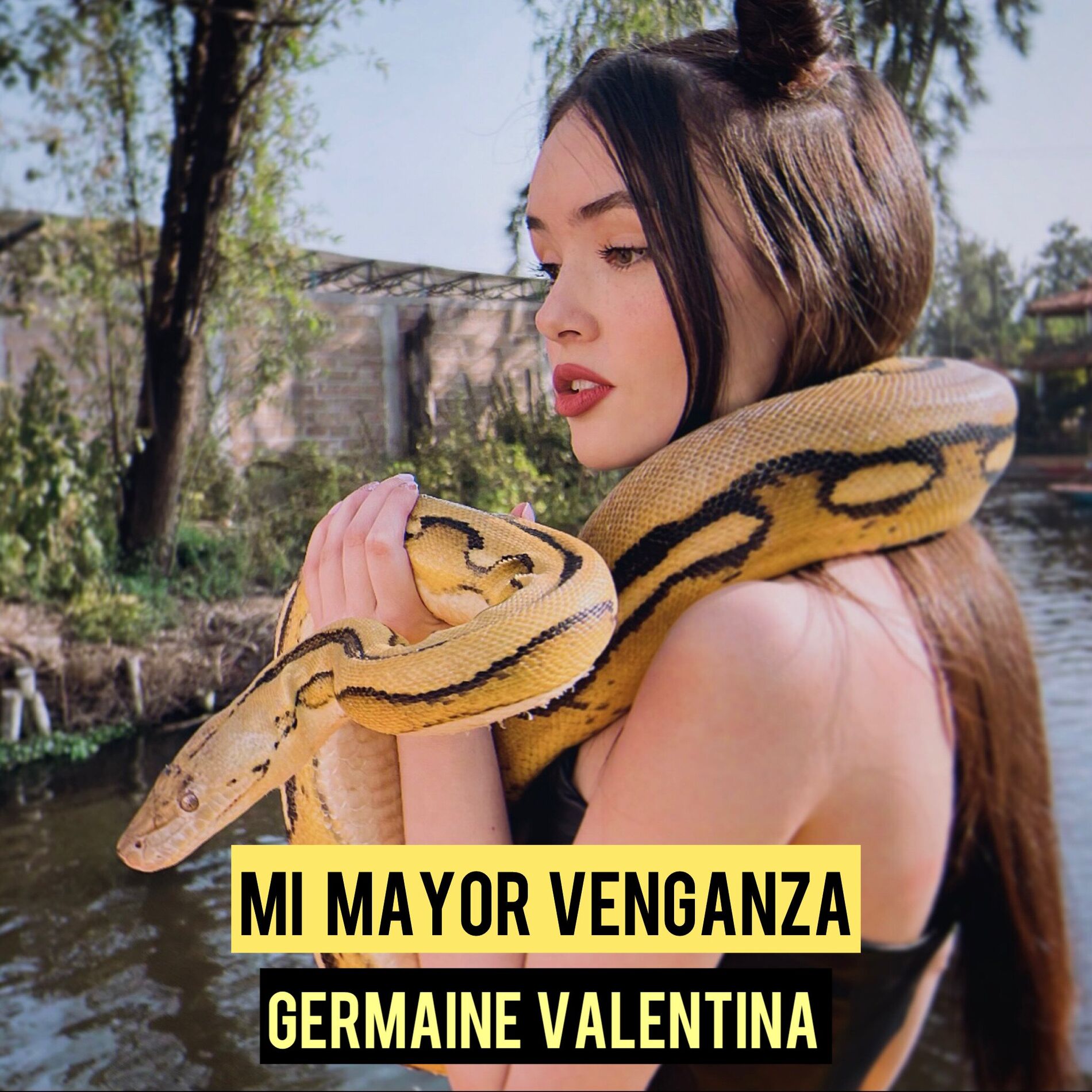 Album cover of Mi Mayor Venganza