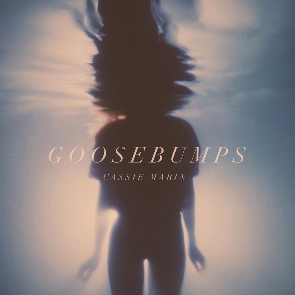Album cover of Goosebumps