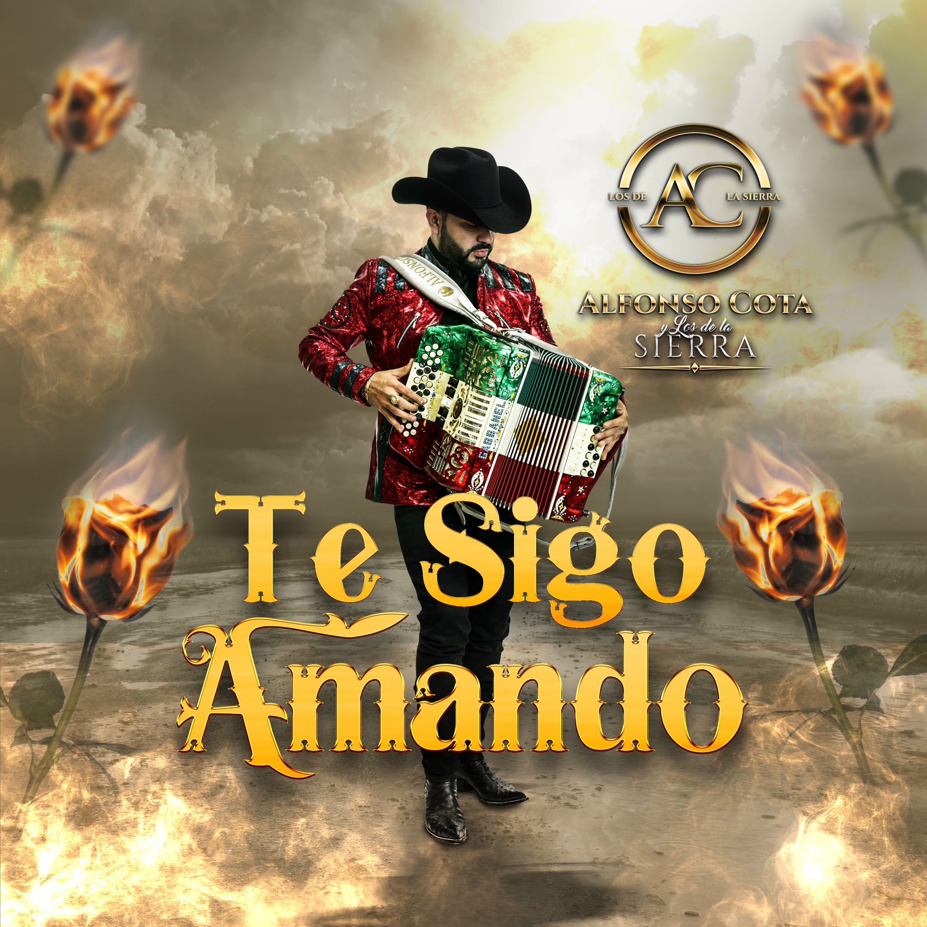 Album cover of Te Sigo Amando
