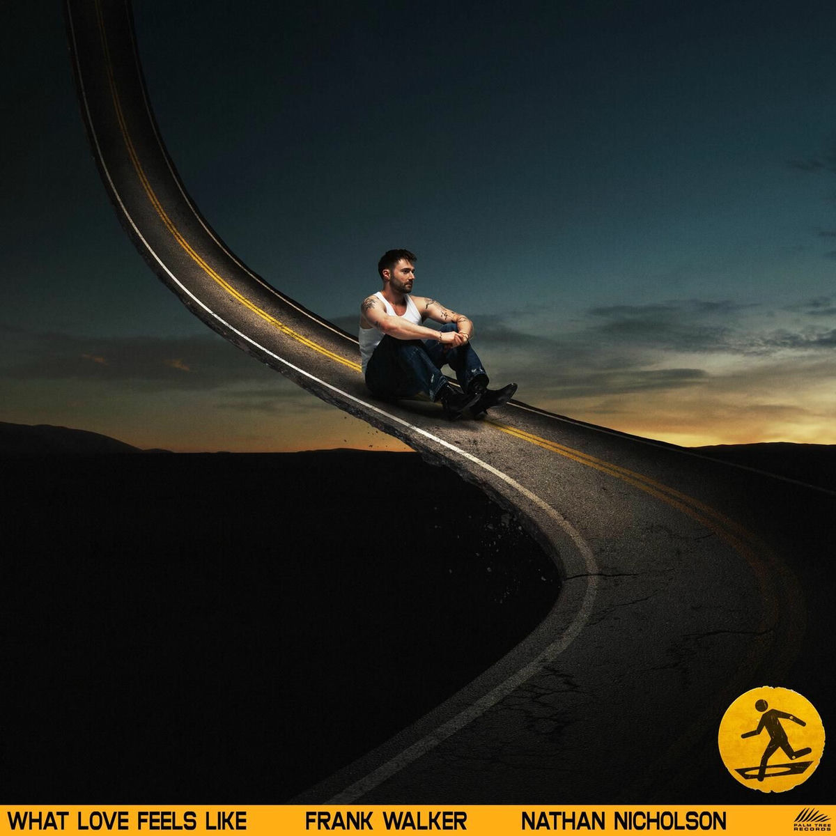 Album cover of What Love Feels Like (feat. Nathan Nicholson)