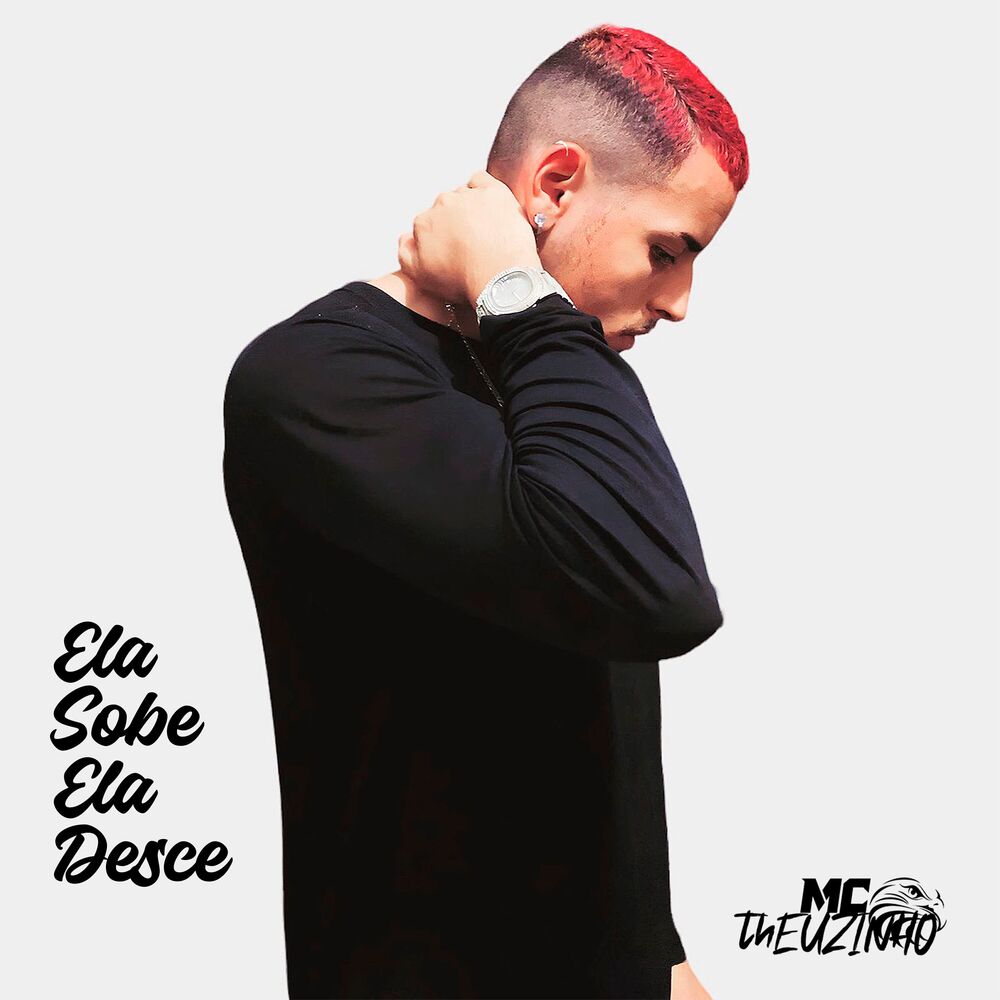 Picture of Ela Sobe, Ela Desce (Remix)