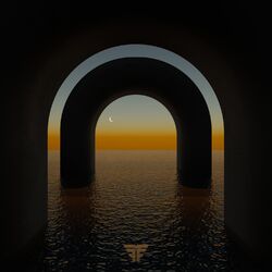 Cover of FOREVER (REMIXES)