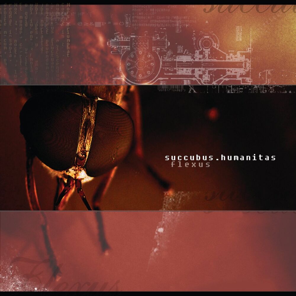 Picture of Succubus Humanitas
