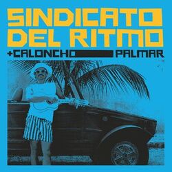 Cover of Palmar