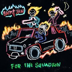 Cover of For The Squadron