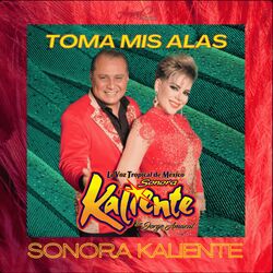 Cover of Toma mis alas