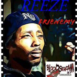 Cover of Frienemy