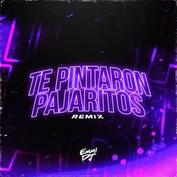 Cover of Te Pintaron Pajaritos (Cachengue)