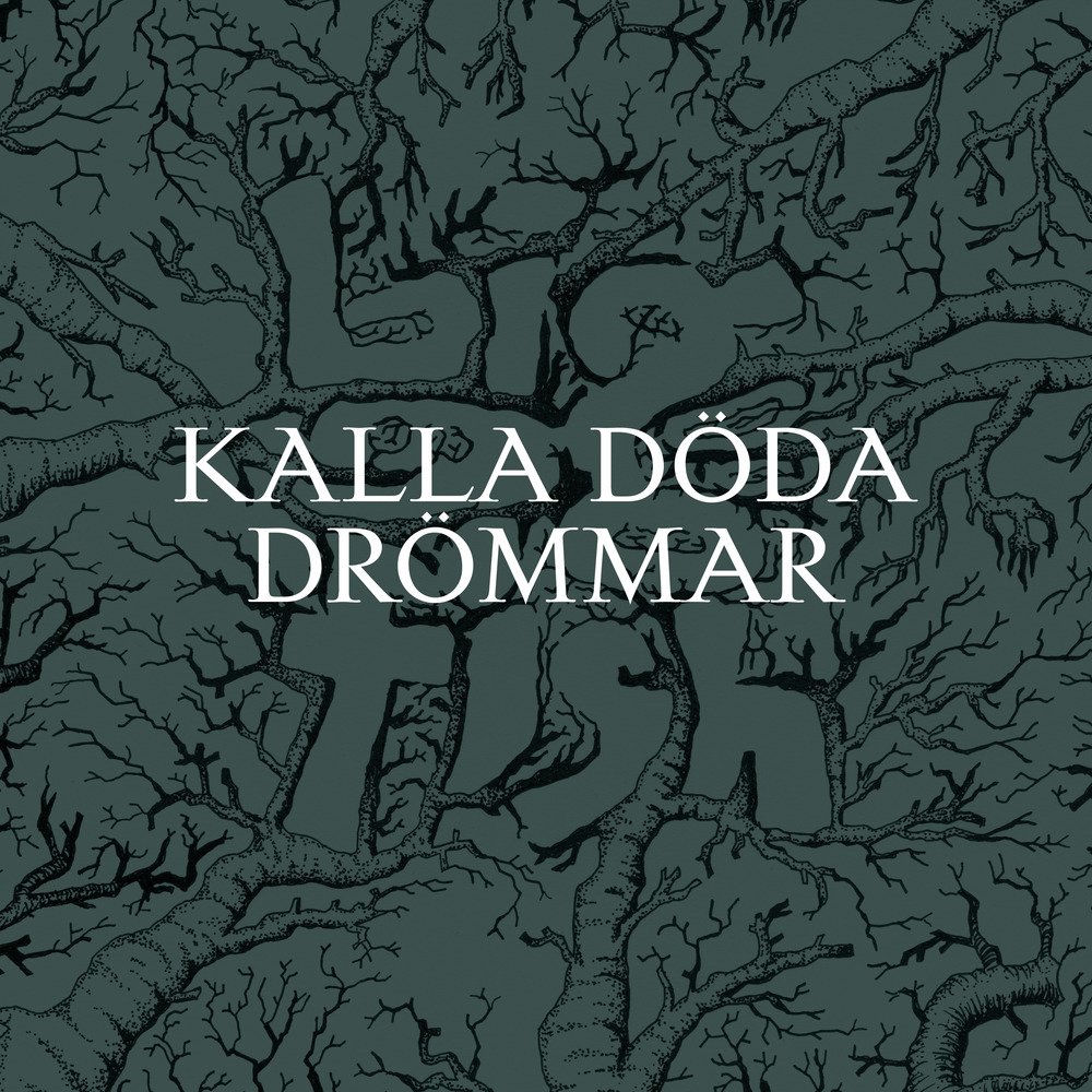 Album artwork for Kalla döda drommar by Big fish