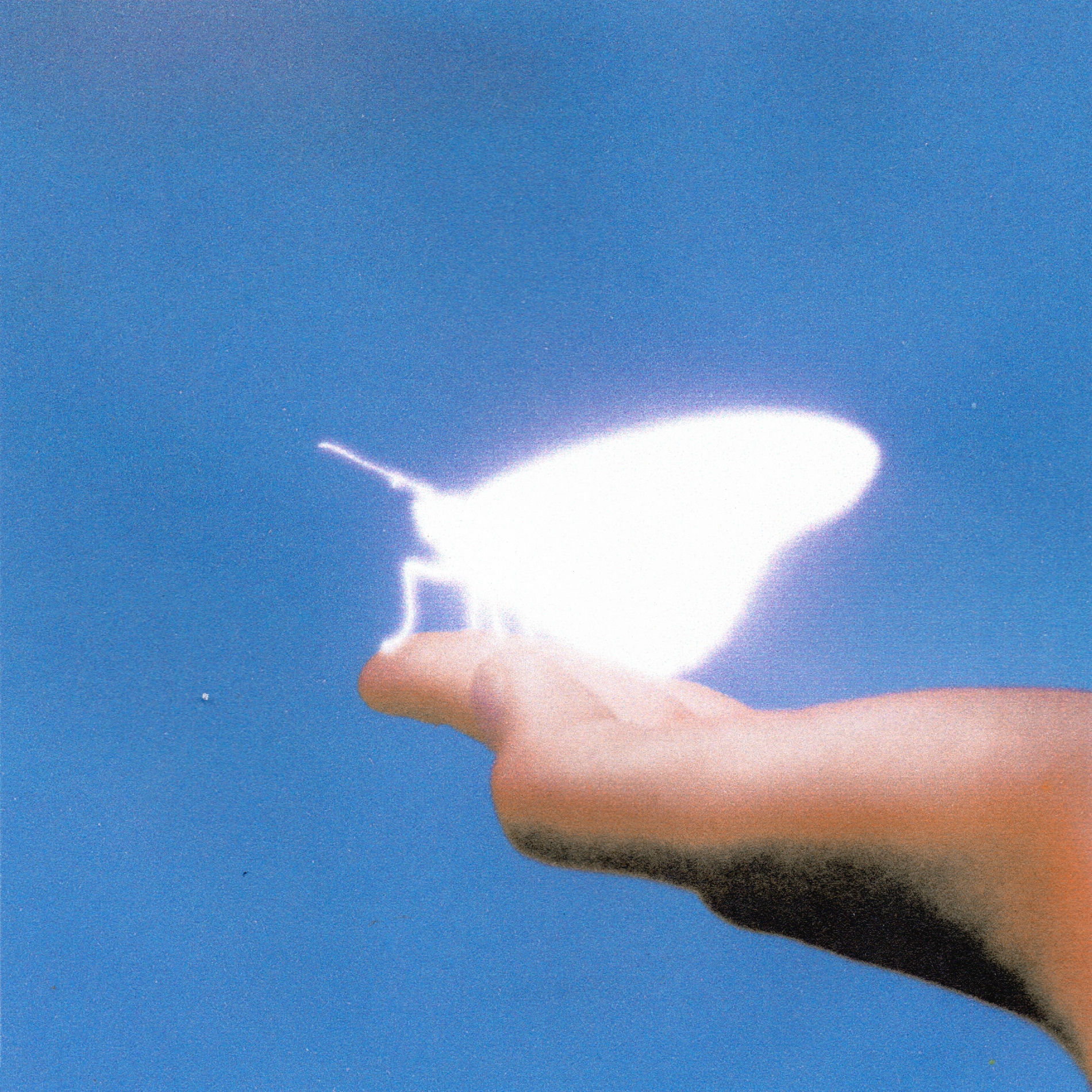 Album cover of Tonight