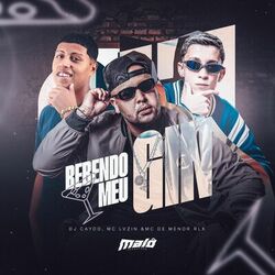 Cover of Bebendo Meu Gin