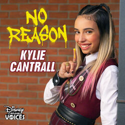 Cover of No Reason