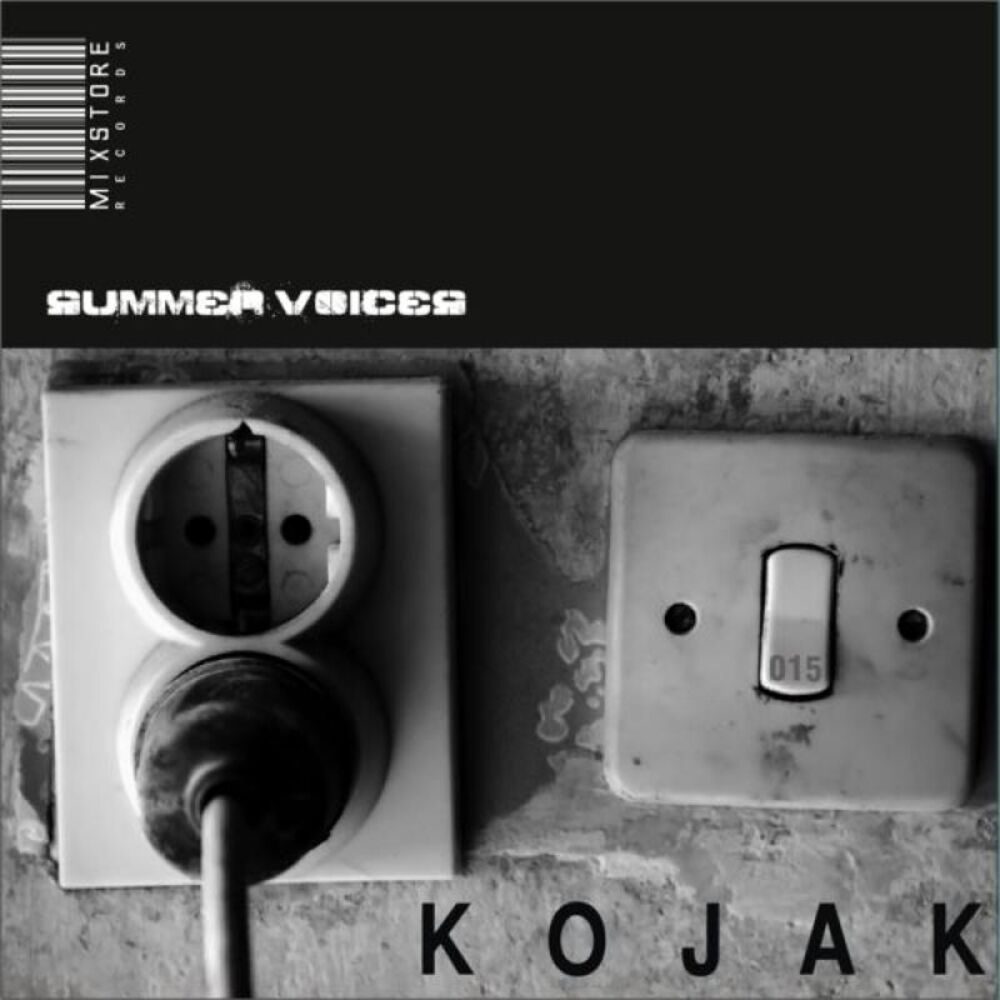 Picture of Summer Voices