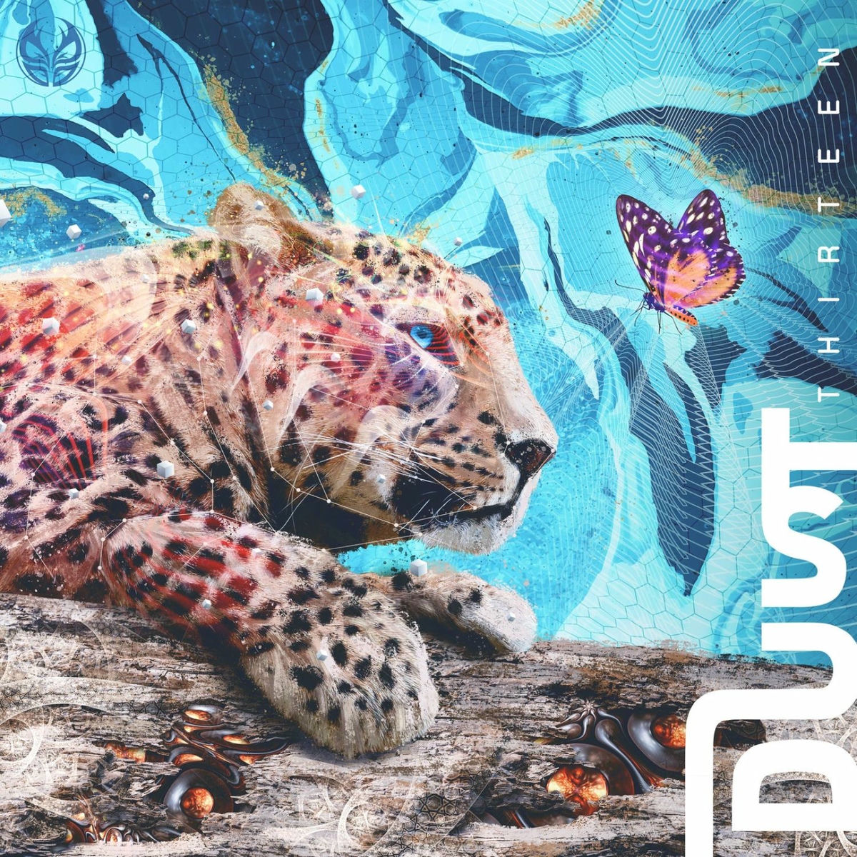 Album cover of Thirteen