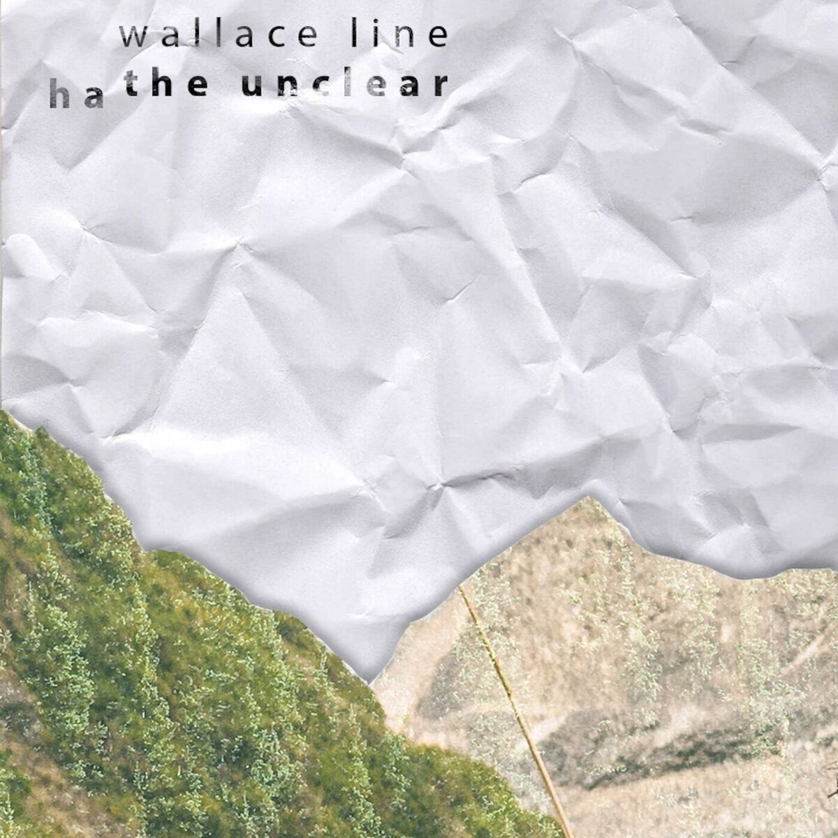 Album cover of Wallace Line