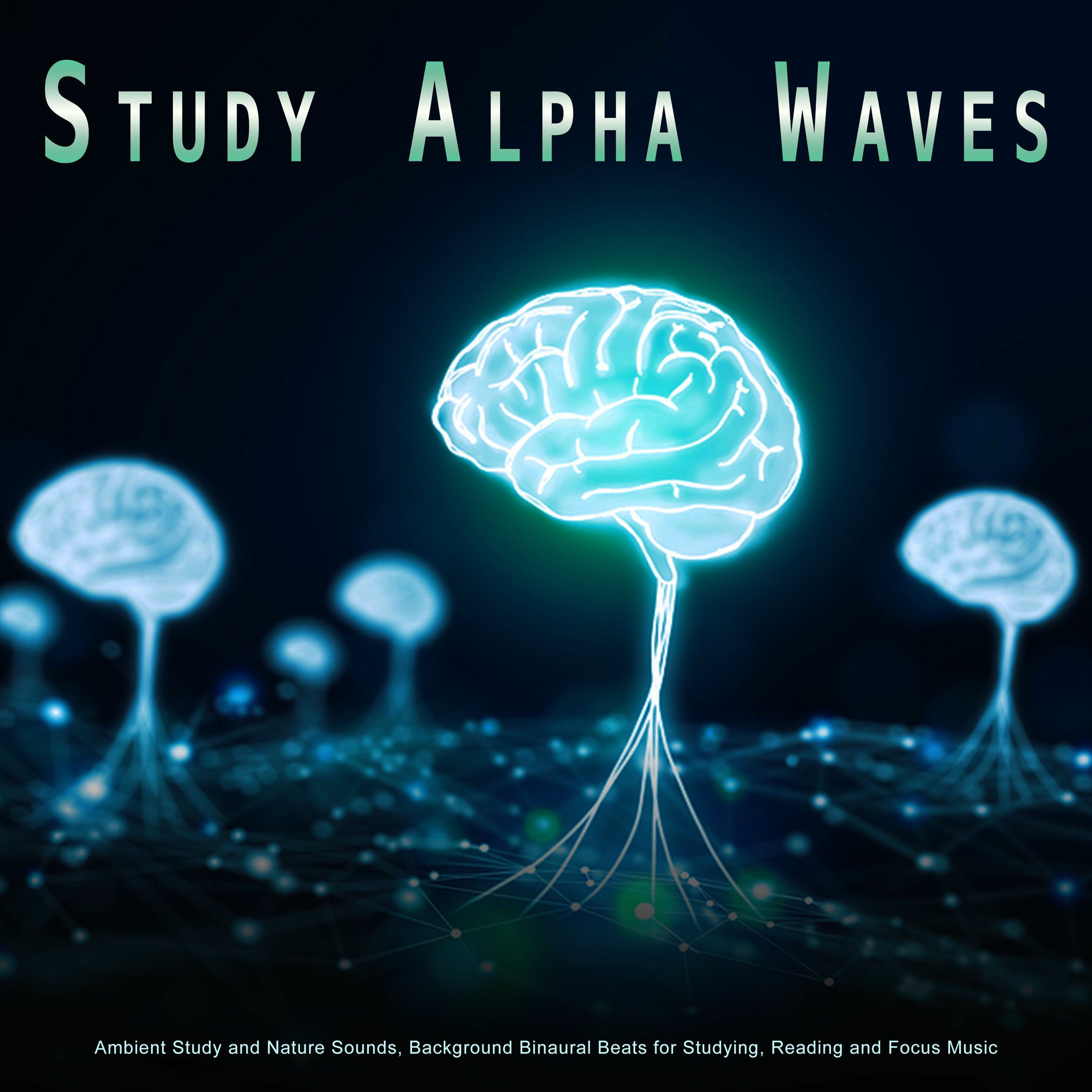 Album cover of Study Alpha Waves: Ambient Study and Nature Sounds, Background Binaural Beats for Studying, Reading and Focus Music