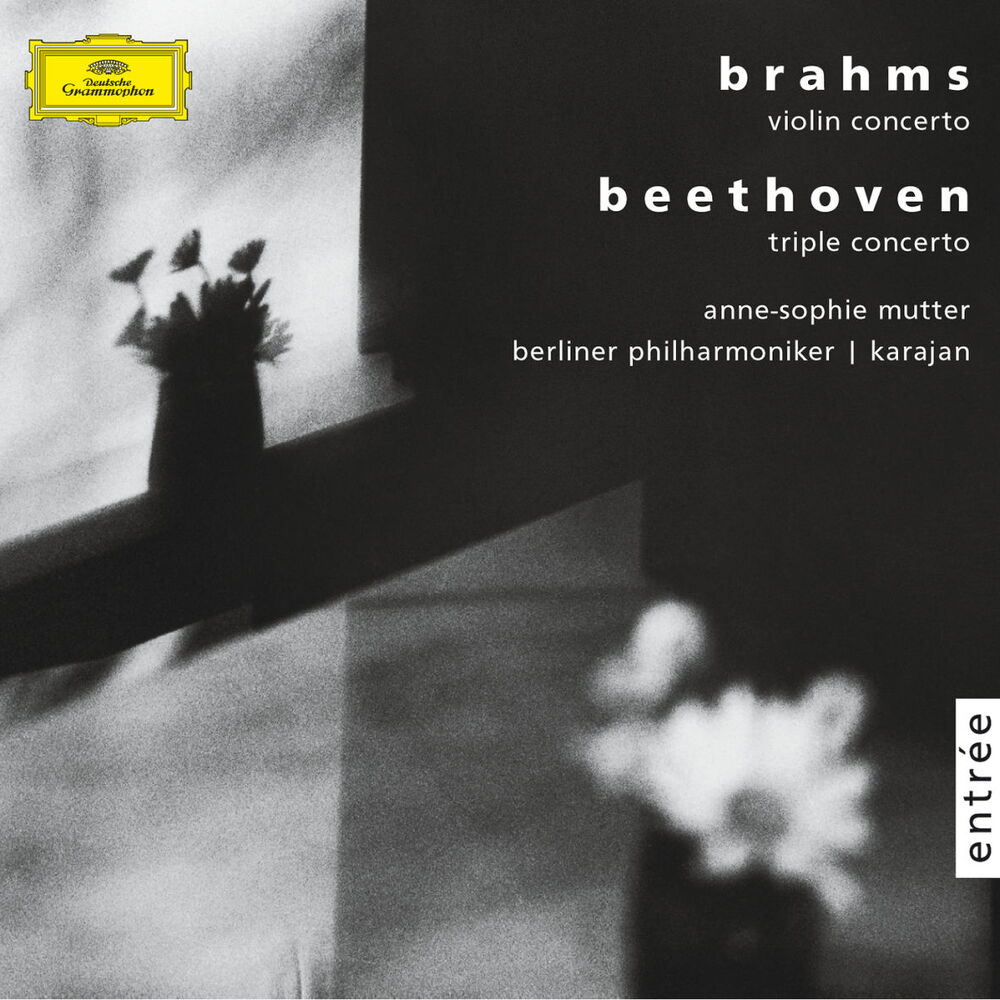 Picture of Brahms: Violin concerto, op. 77 / Beethoven: Triple concerto, op.56