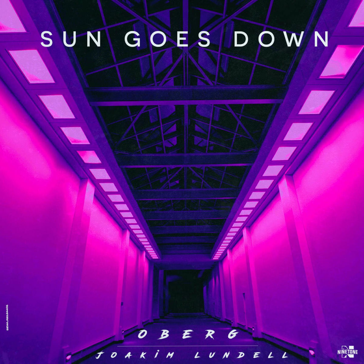 Album cover of Sun Goes Down