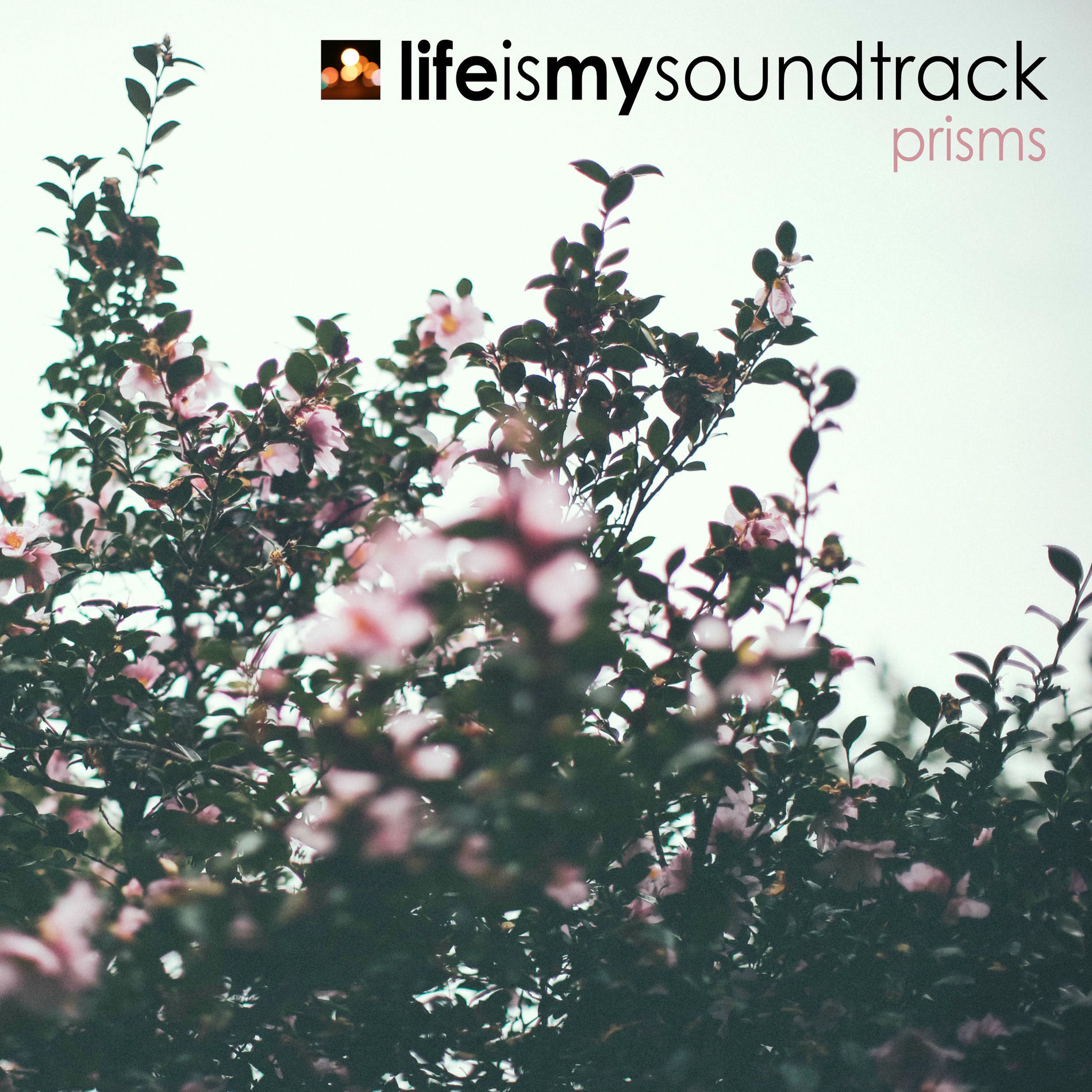 Album cover of Prisms